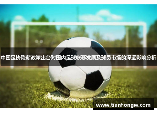 中国足协降薪政策出台对国内足球联赛发展及球员市场的深远影响分析 中国足协降薪政策出台对国内足球联赛发展及球员市场的深远影响分析