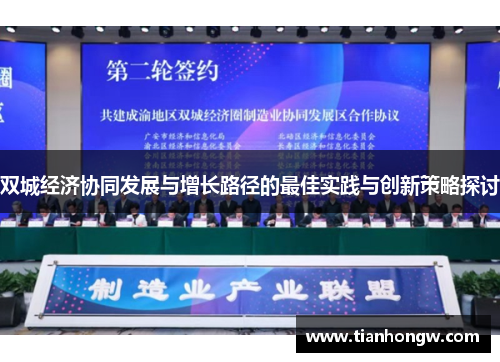 双城经济协同发展与增长路径的最佳实践与创新策略探讨