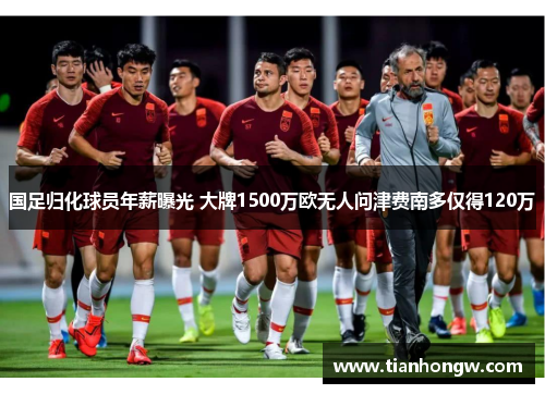 国足归化球员年薪曝光 大牌1500万欧无人问津费南多仅得120万