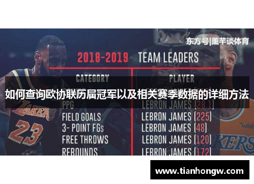 如何查询欧协联历届冠军以及相关赛季数据的详细方法