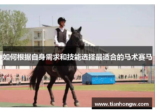 如何根据自身需求和技能选择最适合的马术赛马