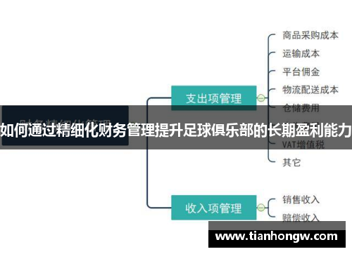 如何通过精细化财务管理提升足球俱乐部的长期盈利能力